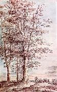 Landscape with Tall Trees dg UDEN, Lucas van